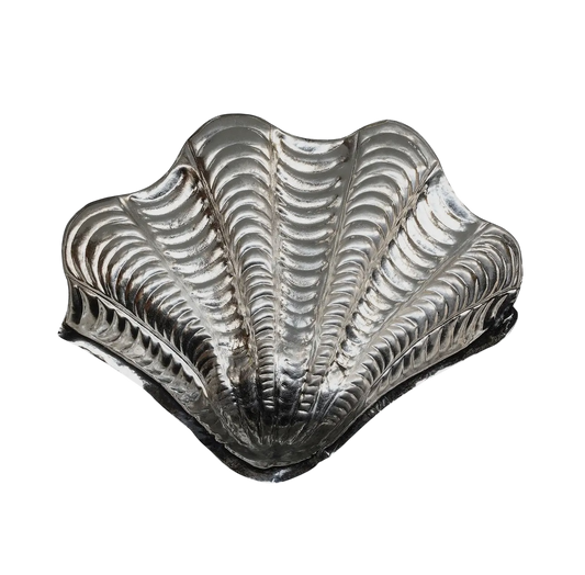 Shell Coin Dish