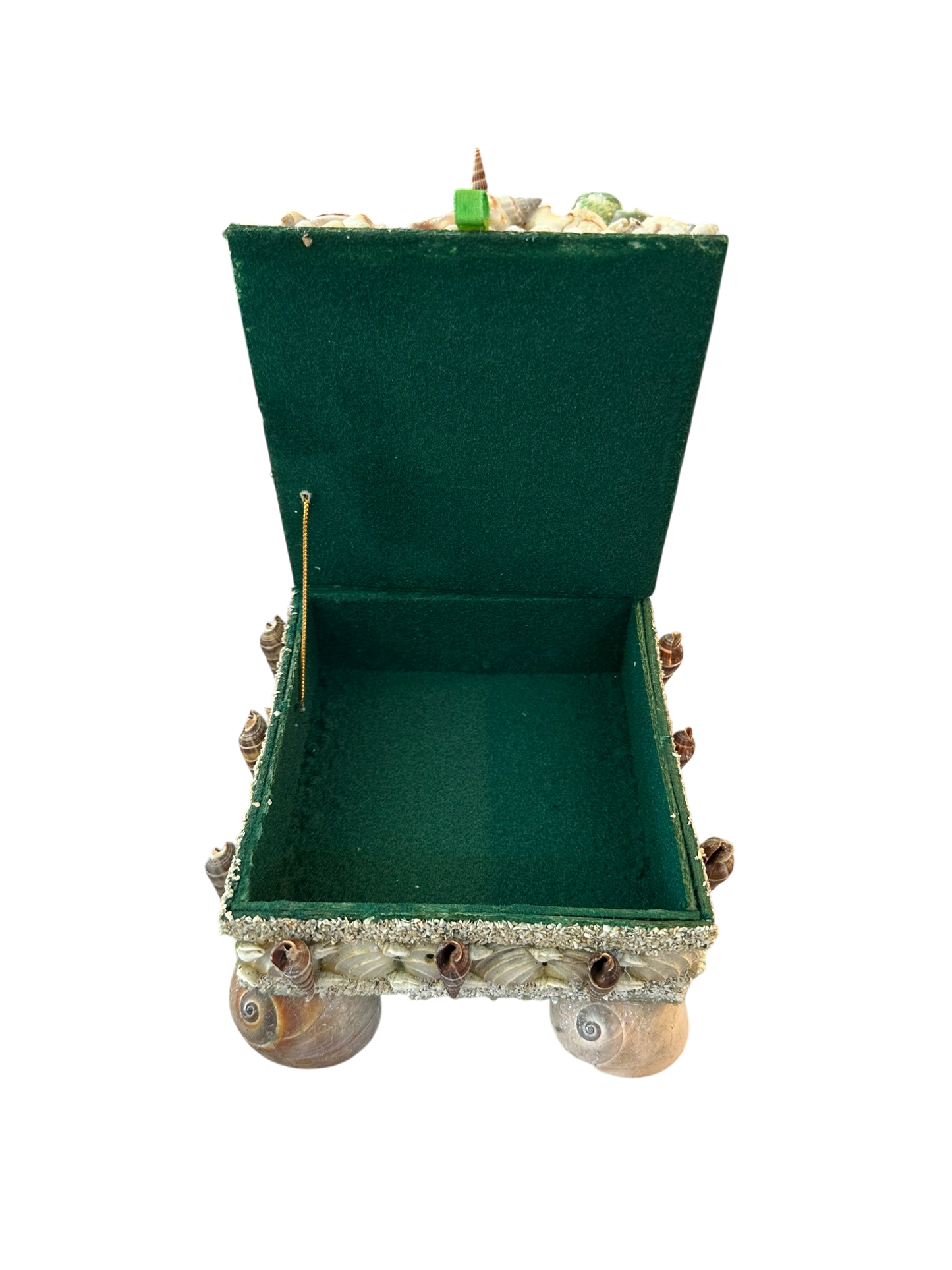 Jenn Leverett Art - Square Shell Encrusted Box