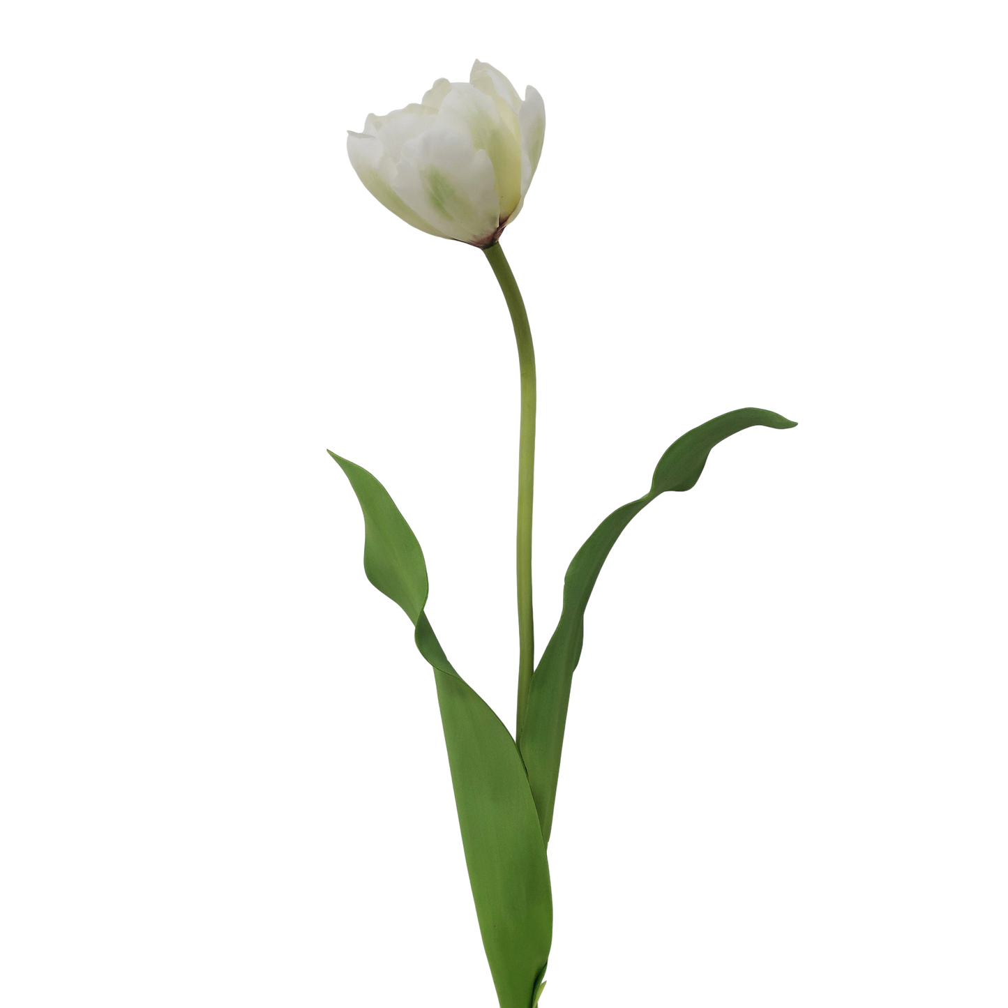 Double Layer Tulip 22” - Three Colors
