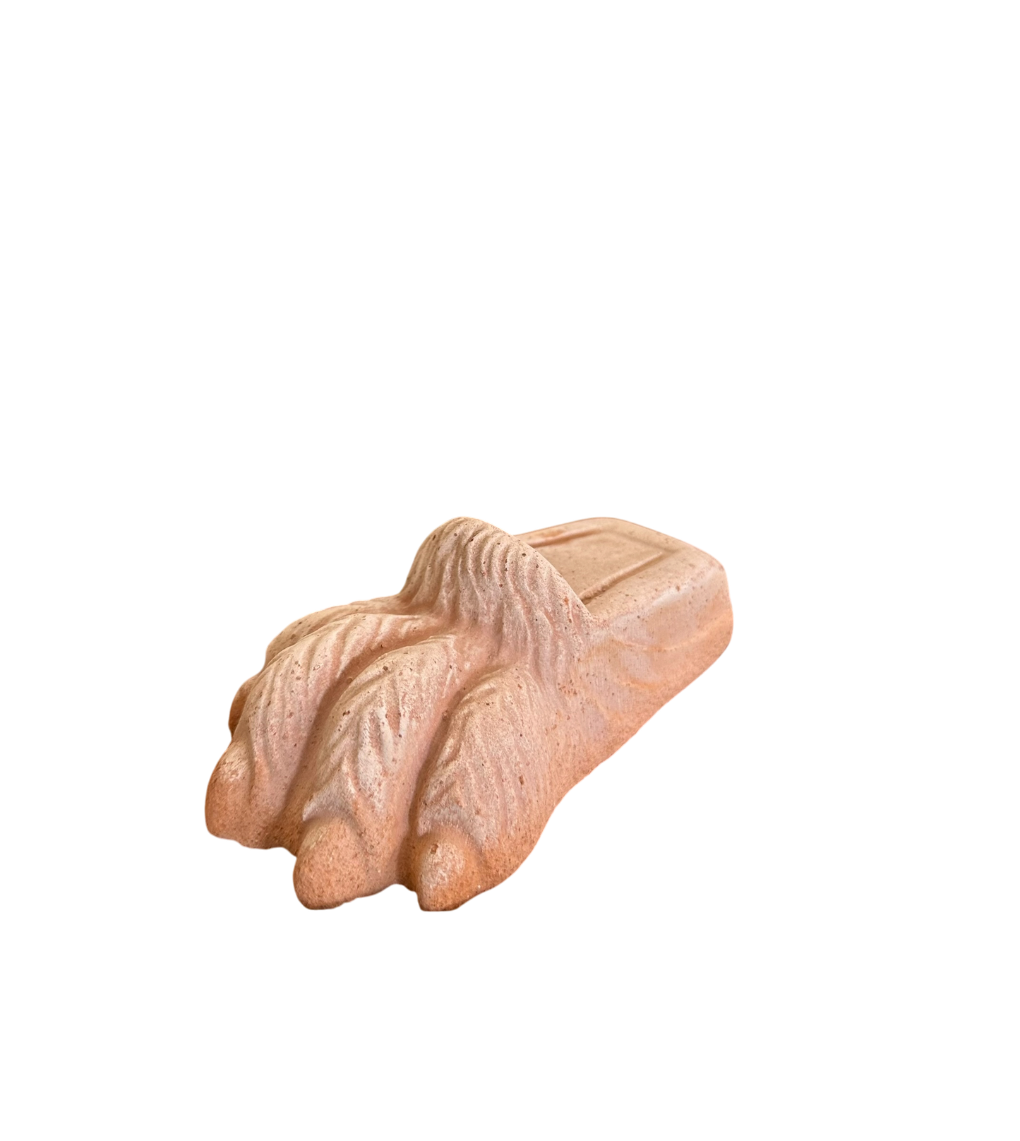 Lion Paw Pot Feet