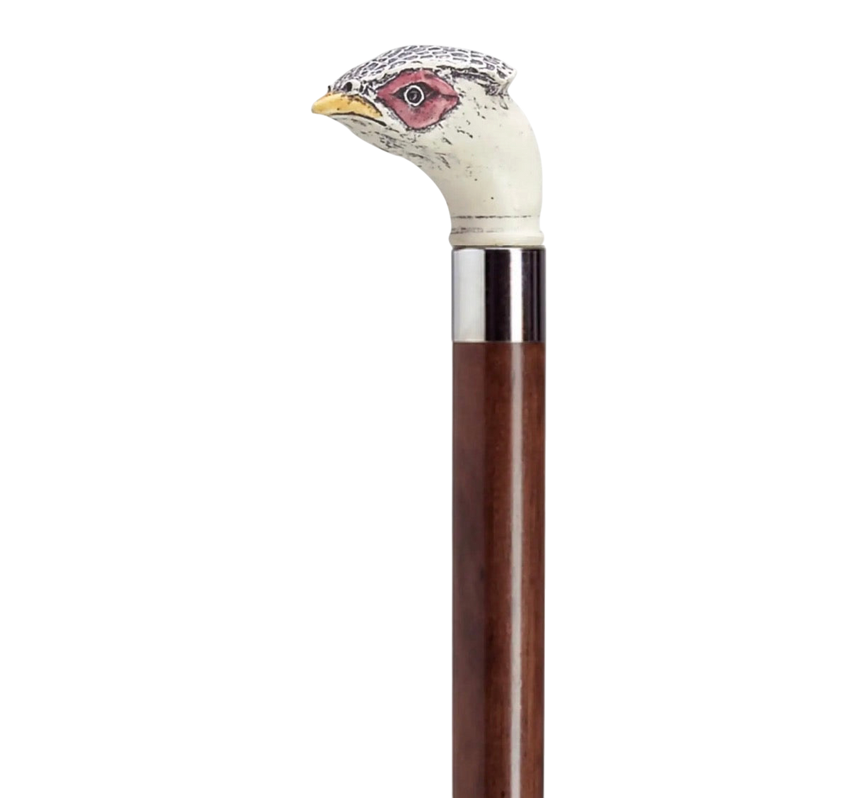 Walking Sticks