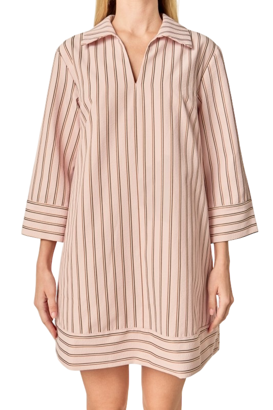 Stripe Collared Mini Dress - Pink/Brown