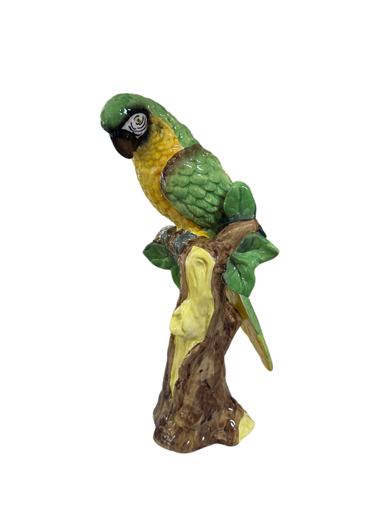 Hand-Painted Parrot