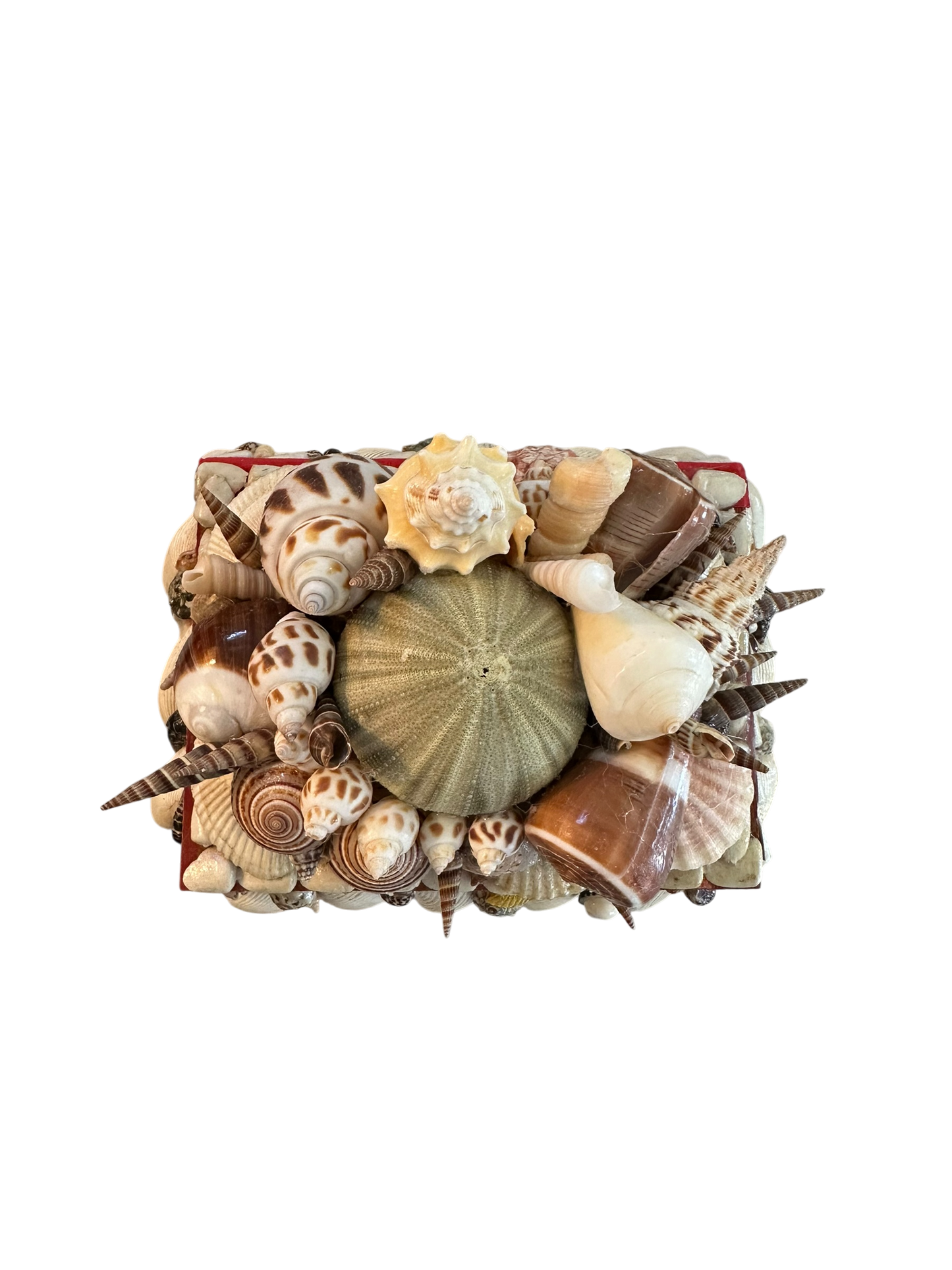 Jenn Leverett Art - Rectangular Shell Encrusted Box
