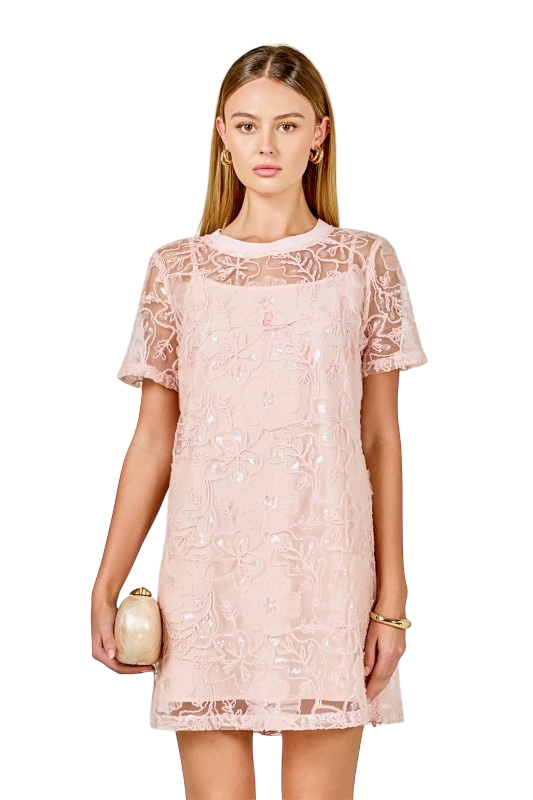 Sequins Embroidery Mesh Dress