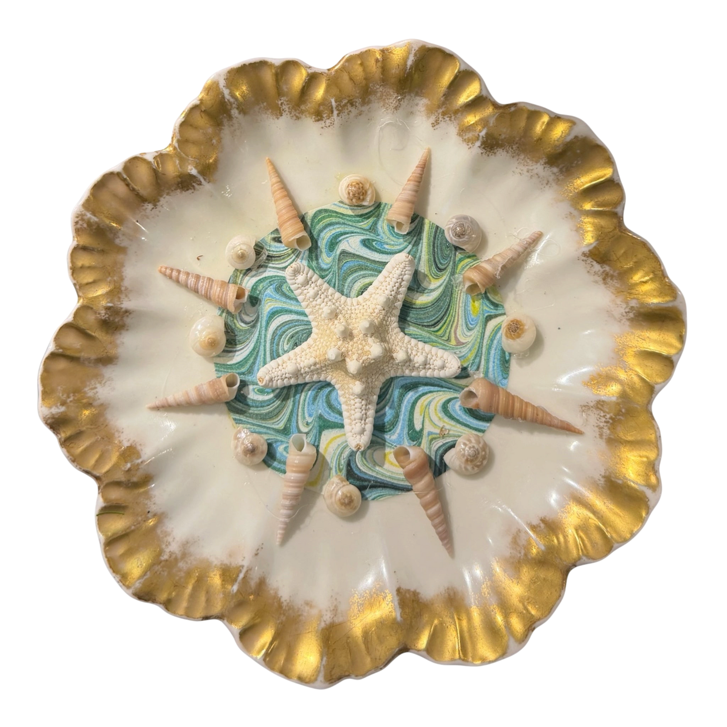 Jenn Leverett Art - Shell Encrusted Limoges Plates