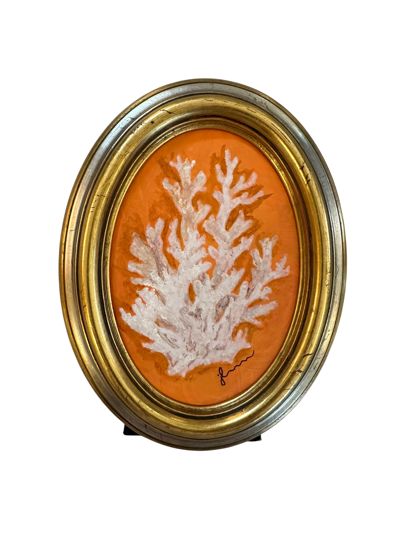 Jenn Leverett Art - Clementine Coral