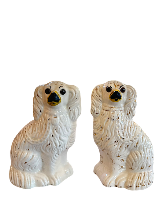 Pair of English Staffordshire Spaniels