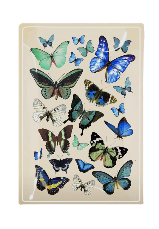Blue Butterflies Decoupage Tray