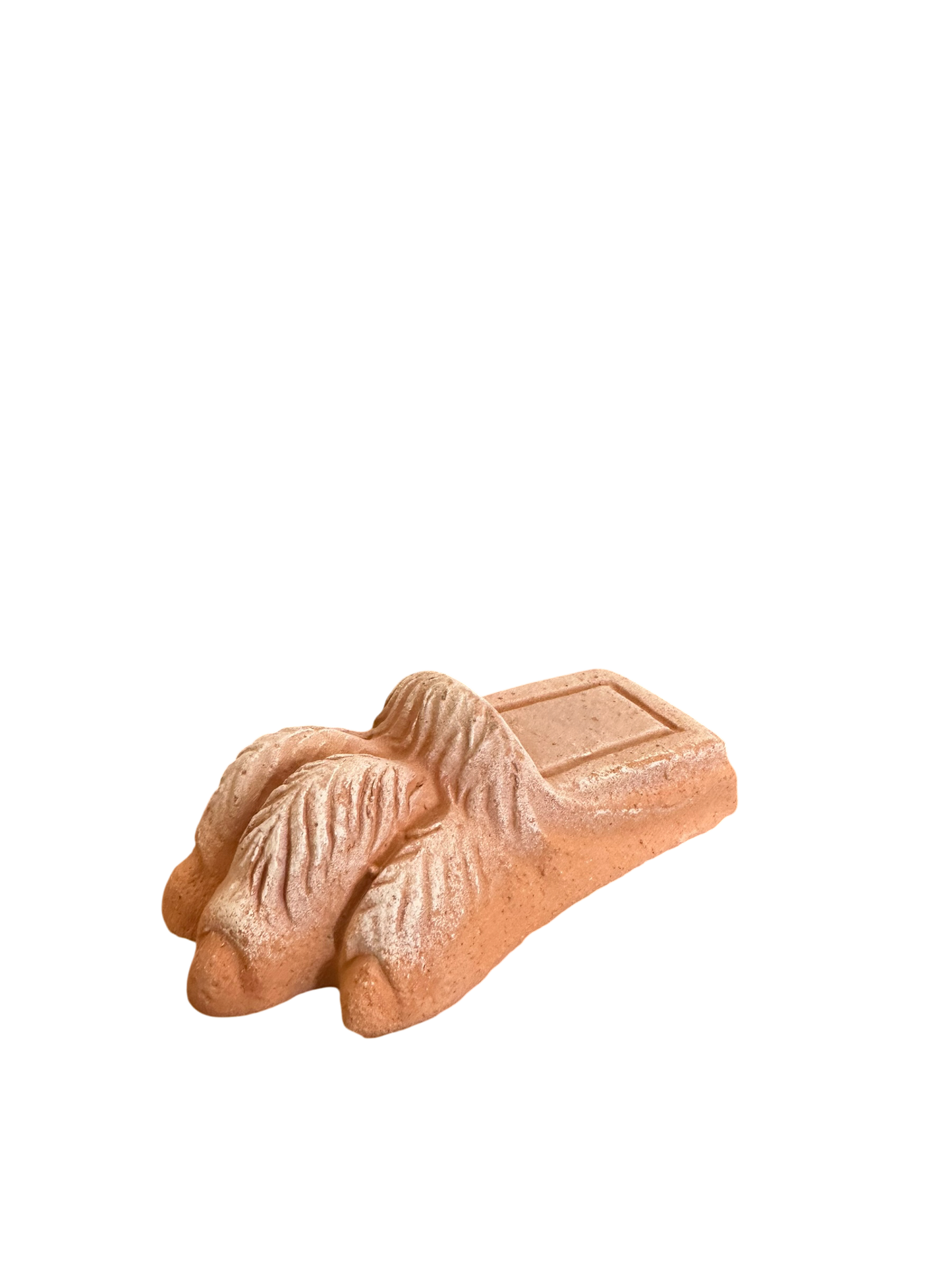 Lion Paw Pot Feet