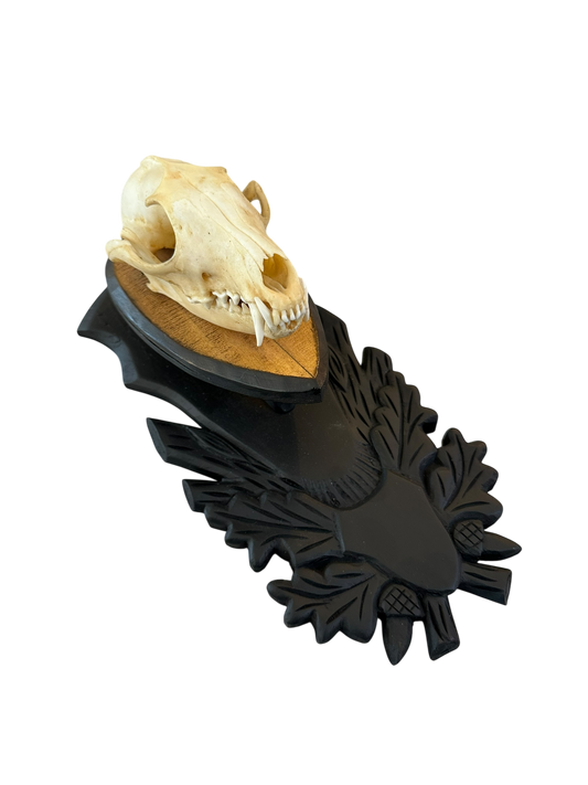 Black Forest Inspired Shed Mount