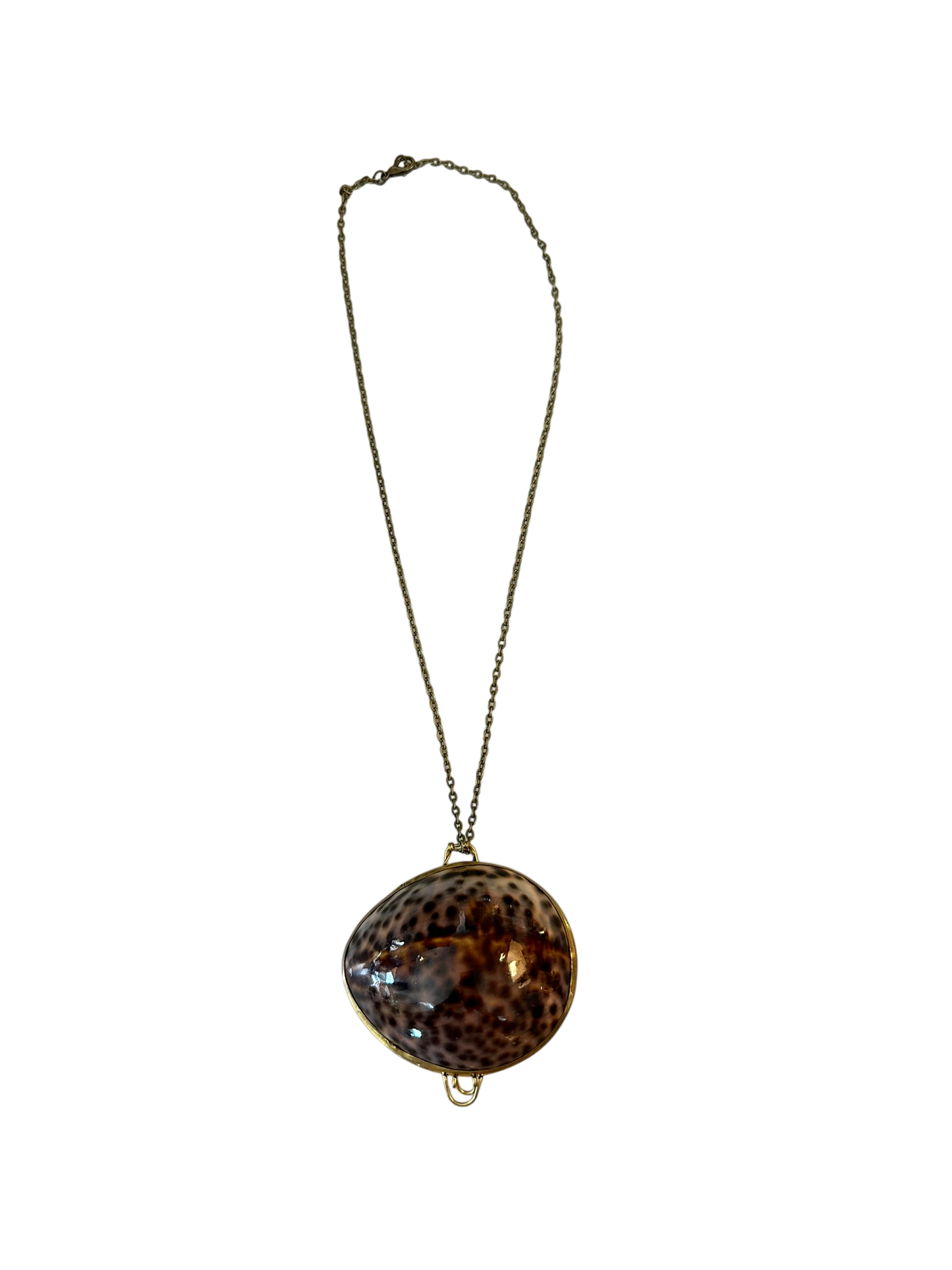 Antique Shell Pill Box Necklace