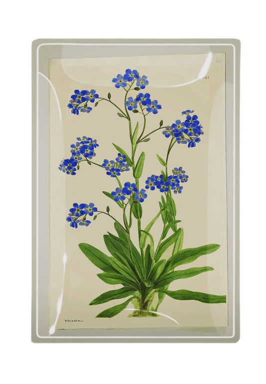 Forget Me Nots Decoupage Glass Tray