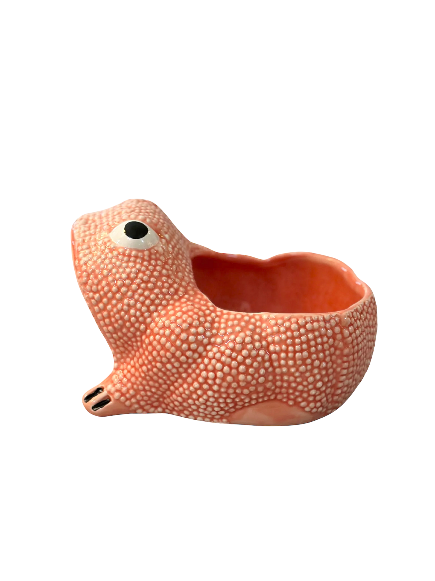 Medium Jean Roger Frog Planter