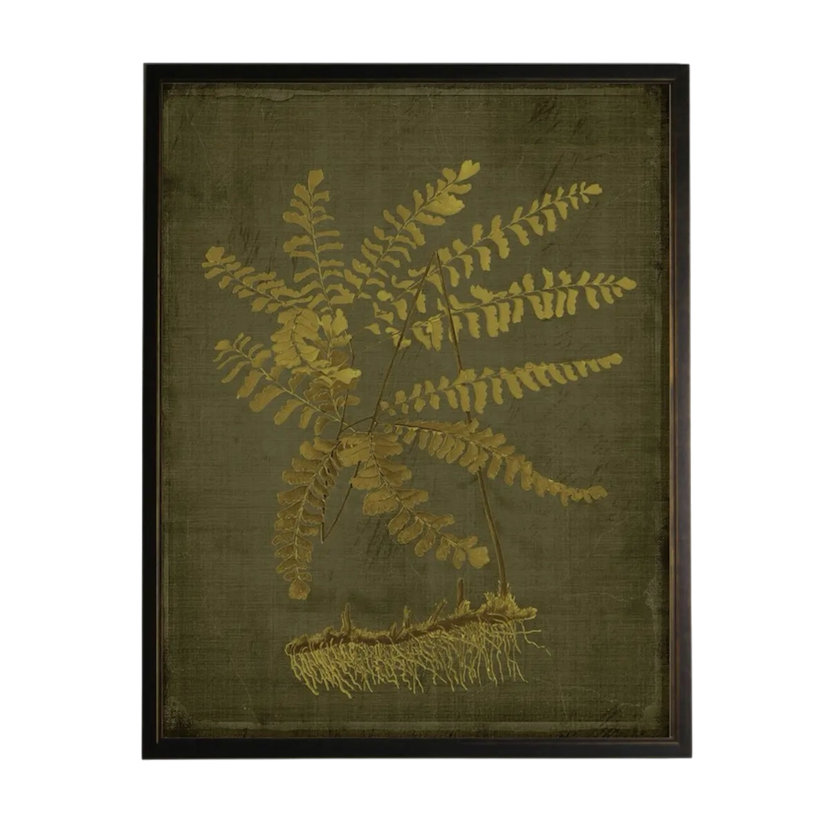 Golden Fern Prints