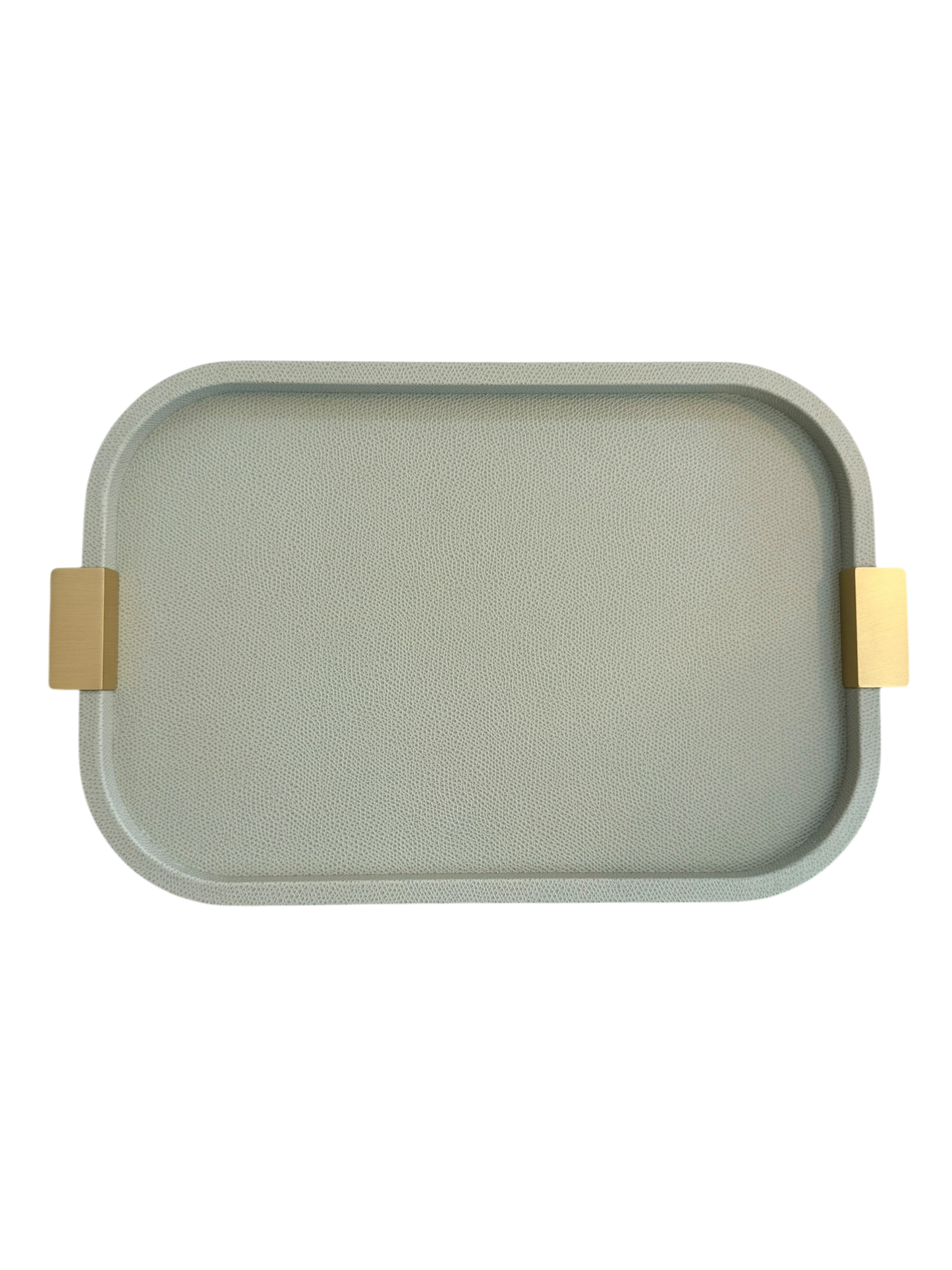 Small Puccini Rectangular Tray / Brass Handles