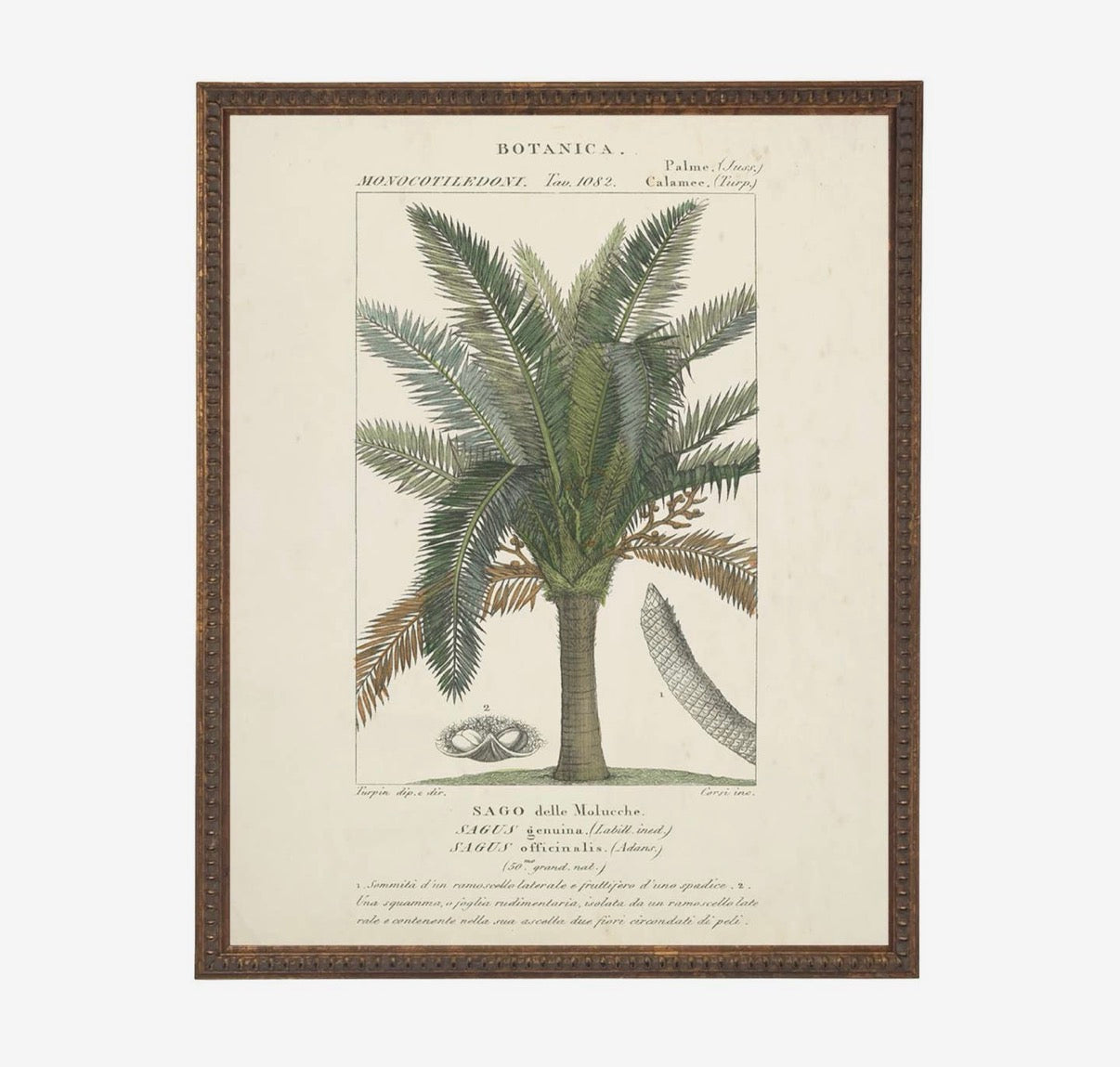 Vintage Palm Tree Bookplate