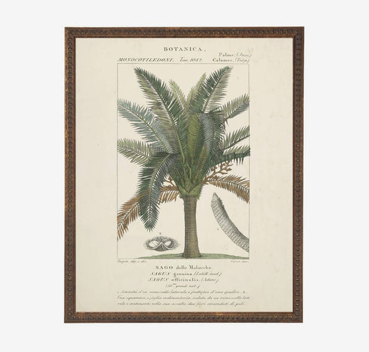 Vintage Palm Tree Bookplate