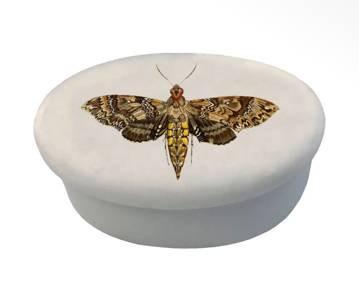 Oval Trinket Boxes