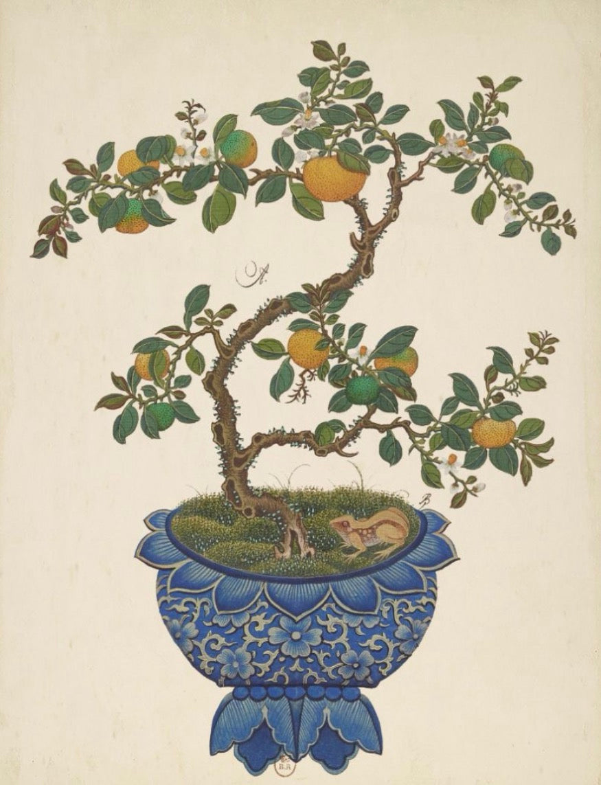 Bonsai Tree Art- 22” x 28”