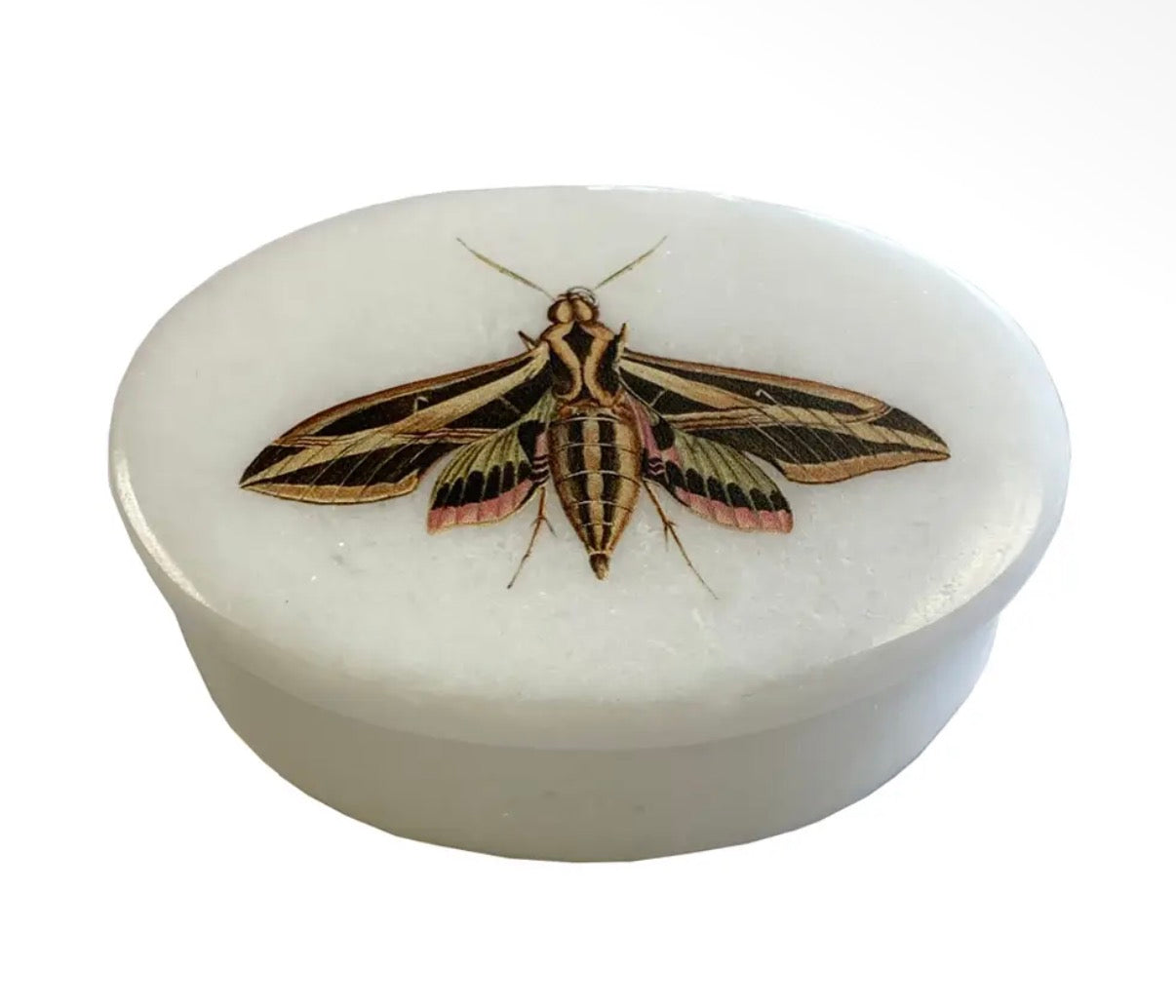 Oval Trinket Boxes