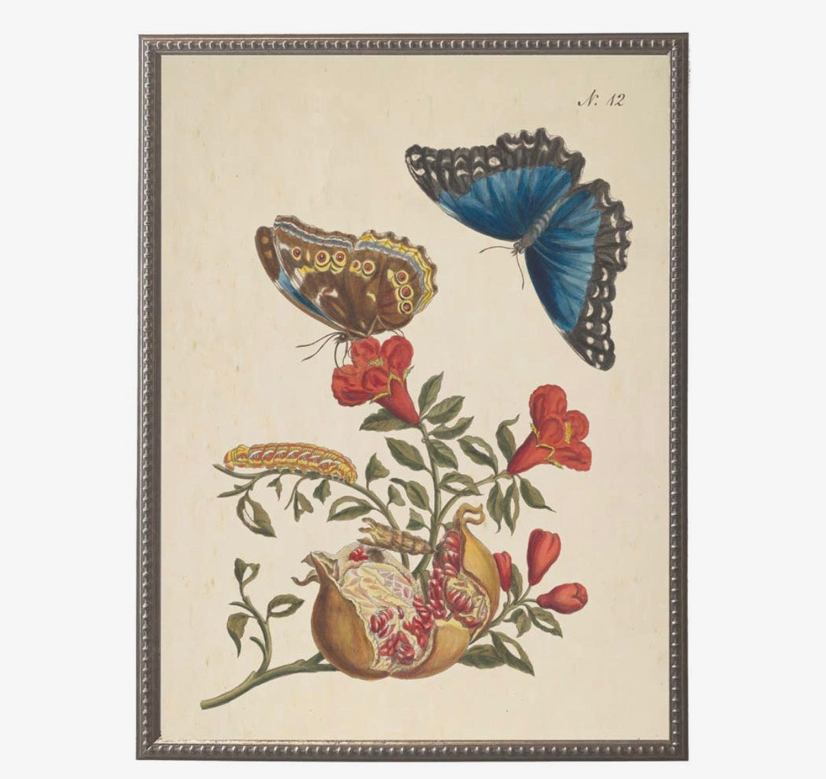 Butterflies and Flowers Bookplates