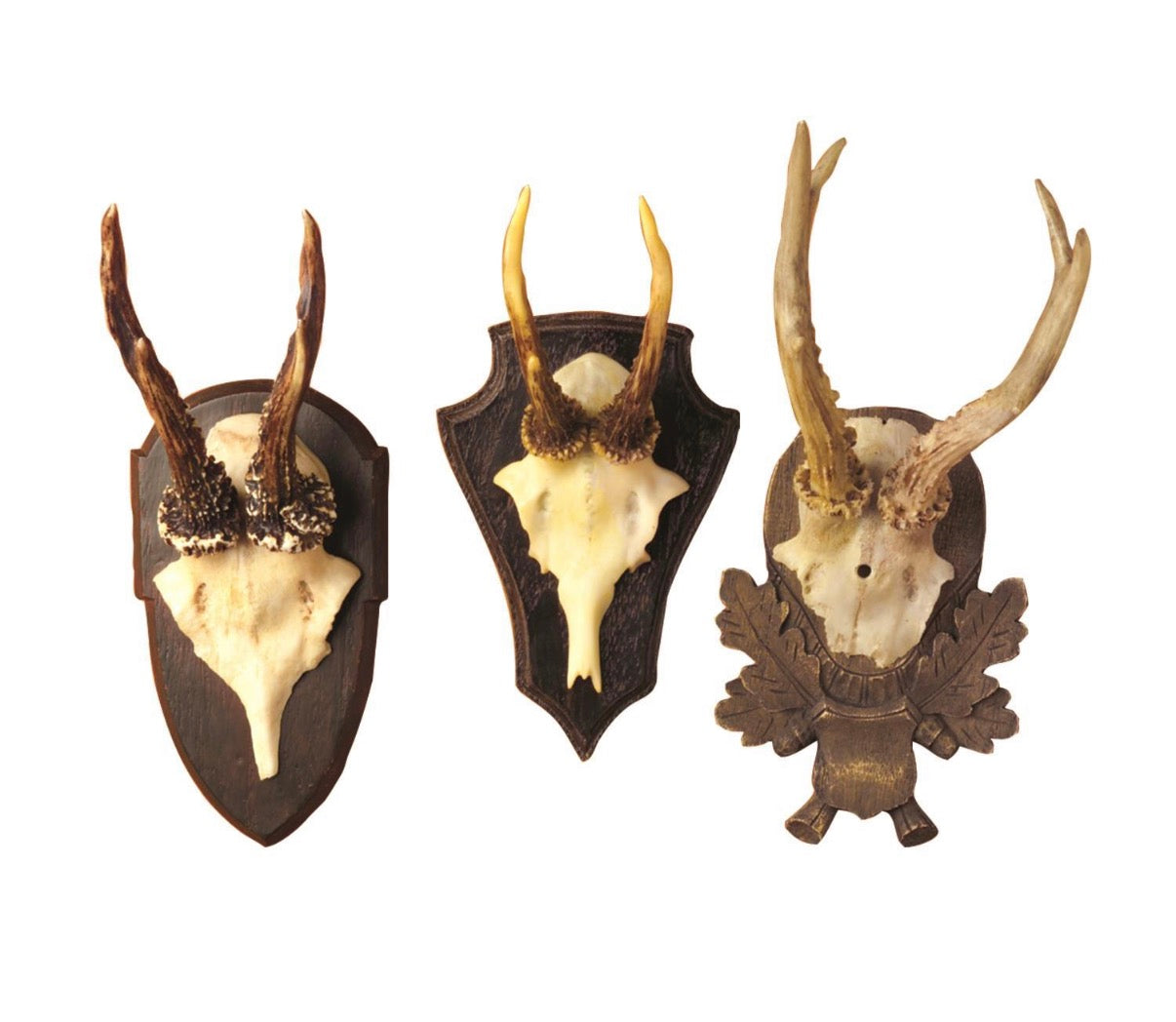 Antler Trophies