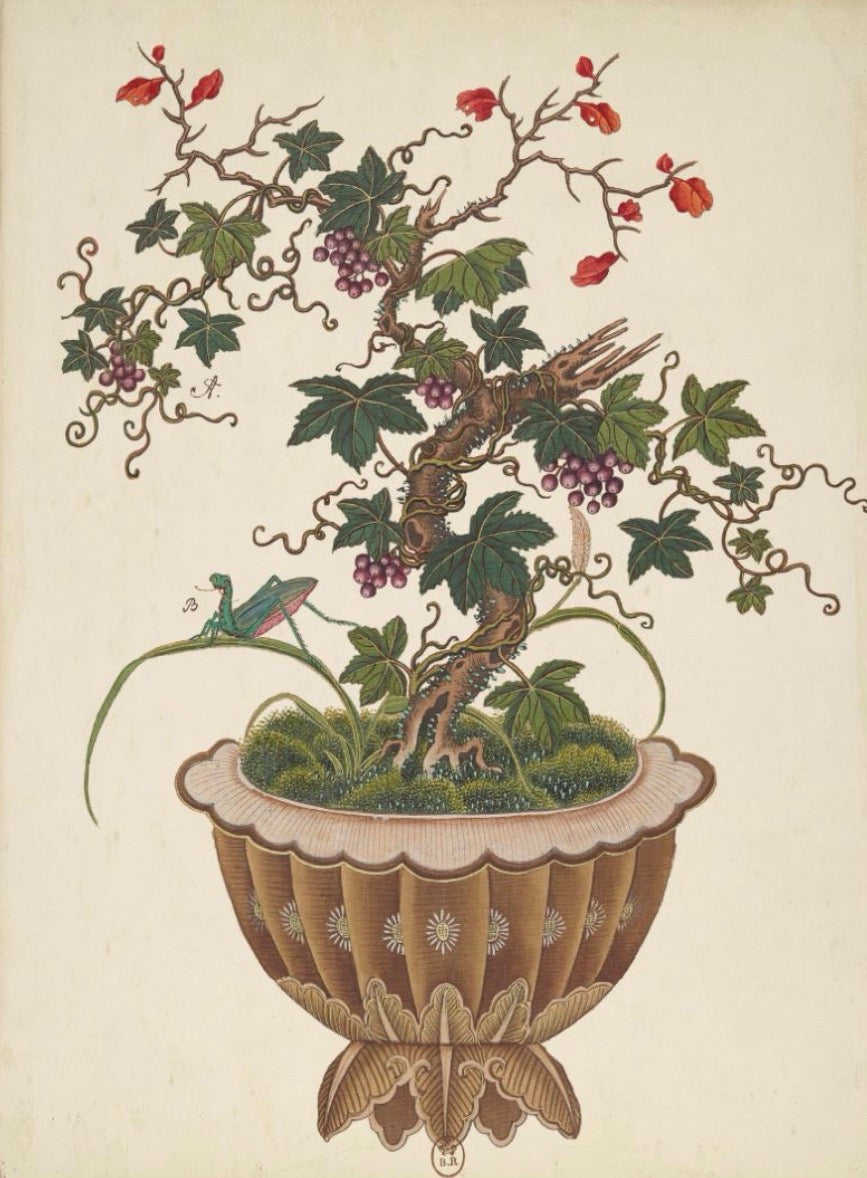 Bonsai Tree Art- 22” x 28”