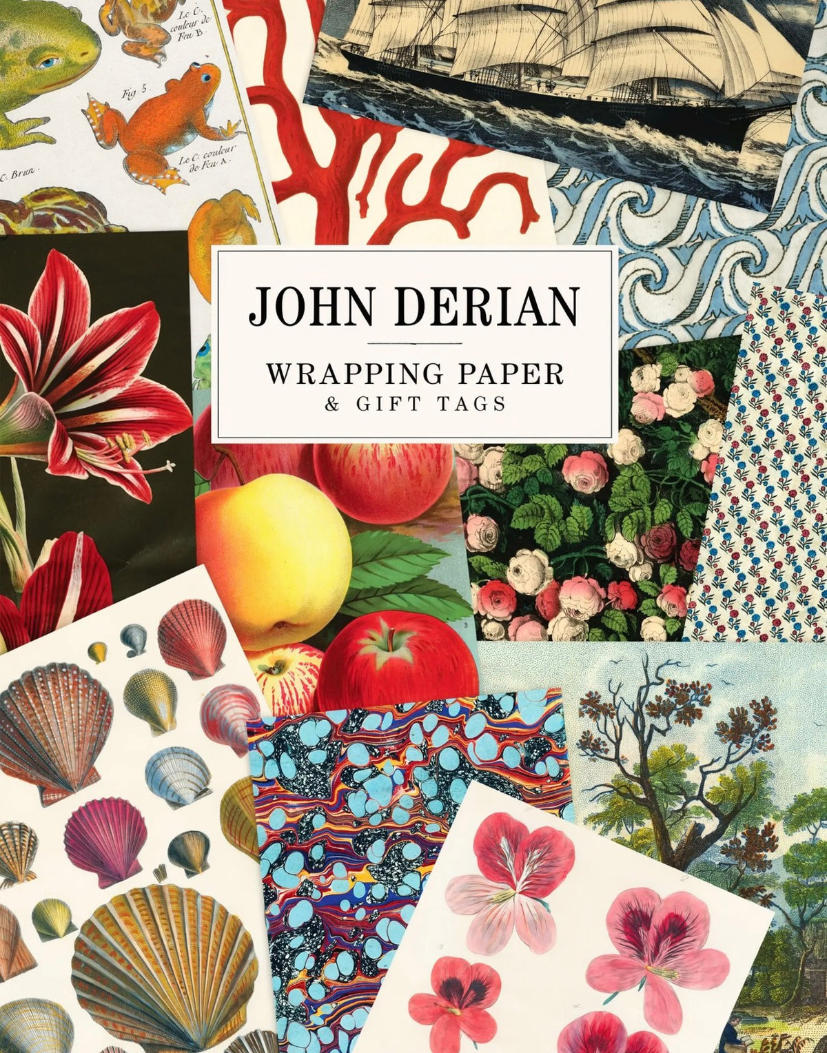 John Derian Wrapping Paper & Gift Tags