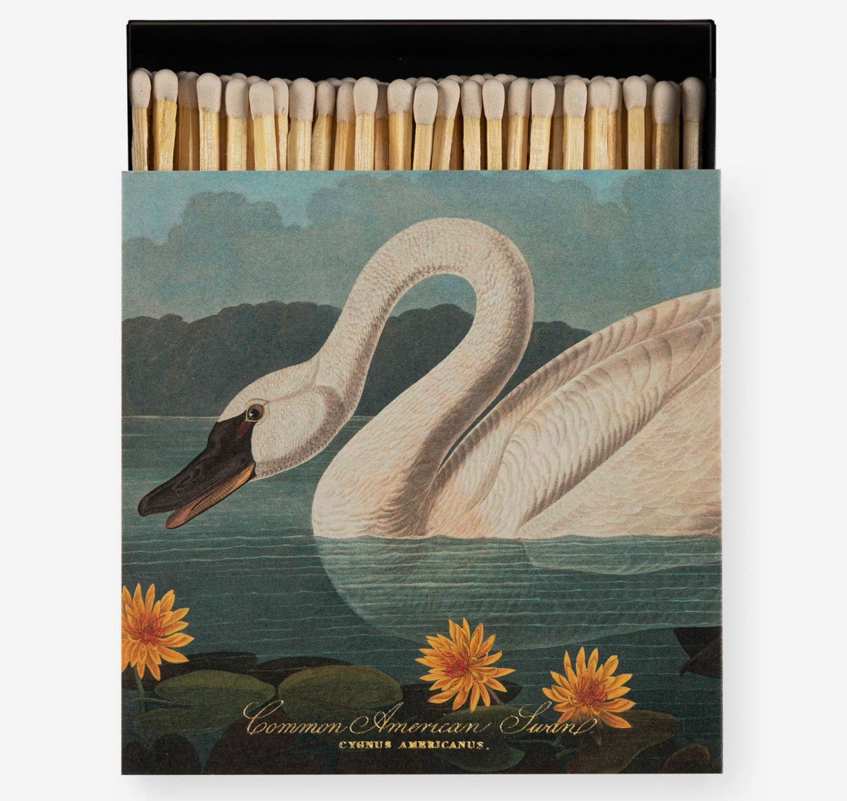 Square Safety Matches