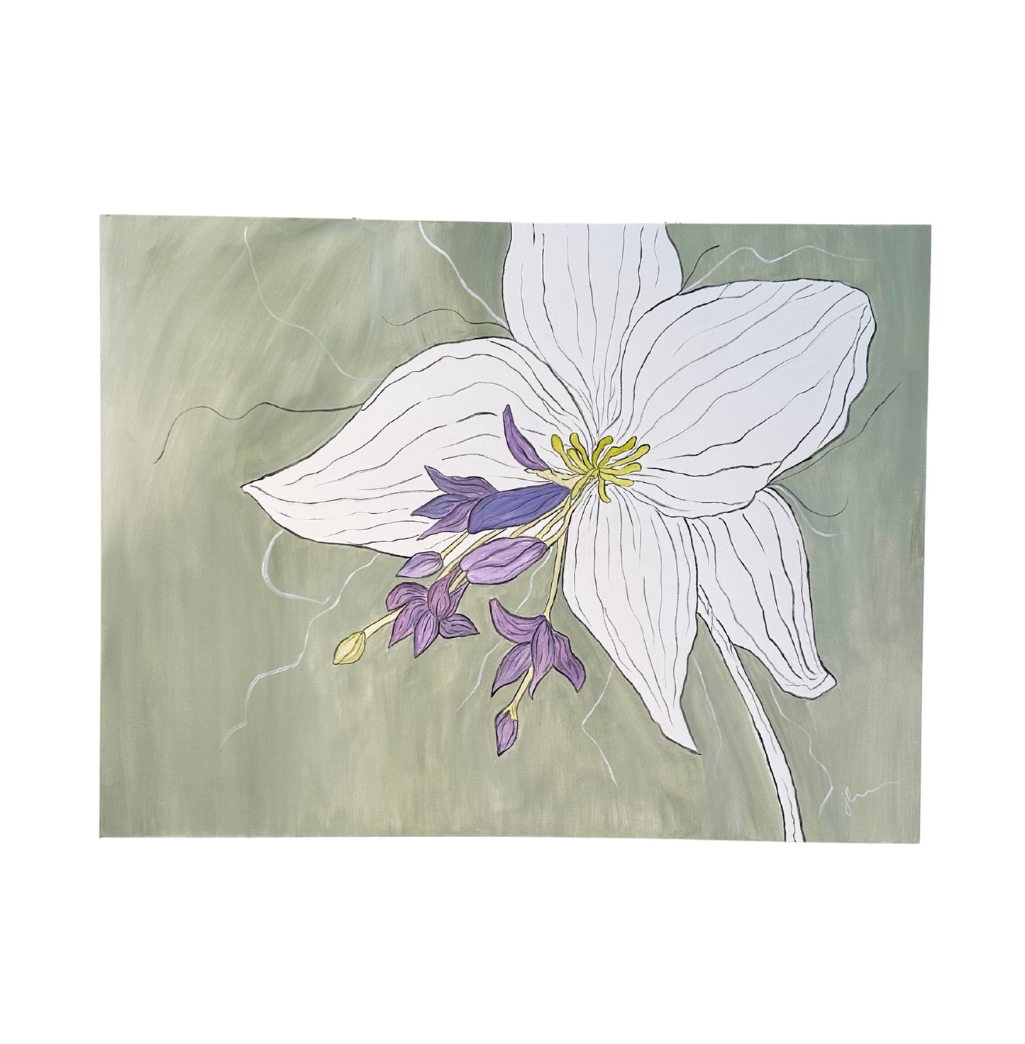 Jennifer Leverett Art - Asiatic Lily