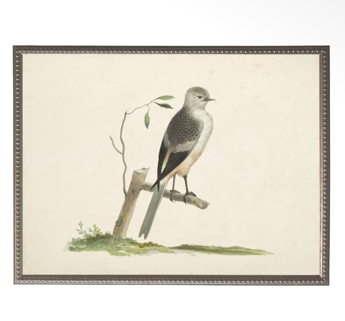 Soft Bird Illustration- 24”x18”