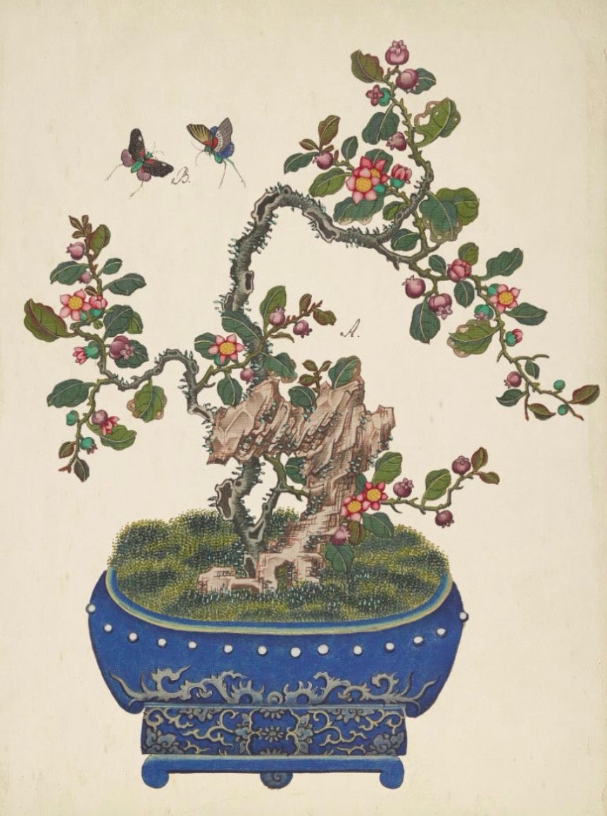 Bonsai Tree Art- 22” x 28”