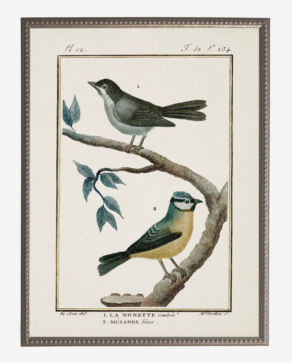 Vintage Bird Bookplate