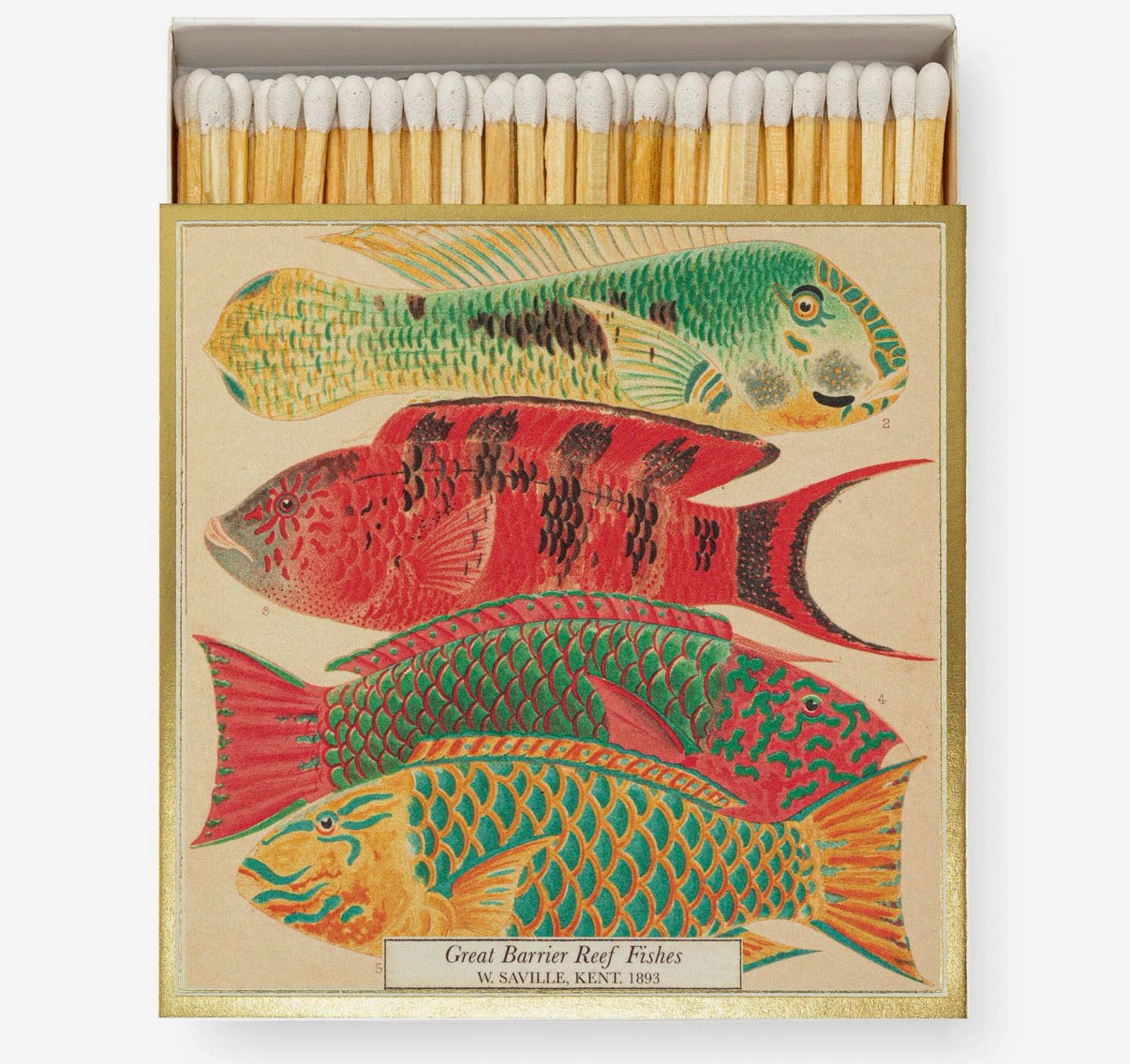 Square Safety Matches