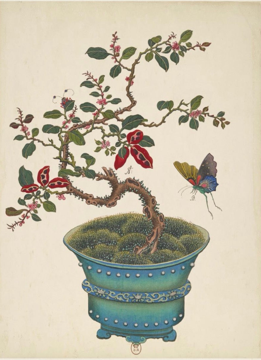 Bonsai Tree Art- 22” x 28”