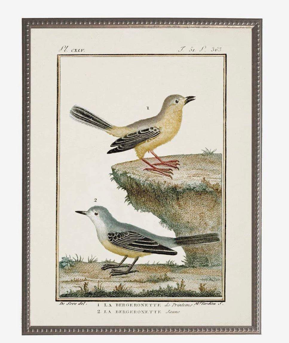 Vintage Bird Bookplate