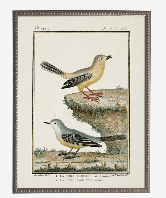 Vintage Bird Bookplate