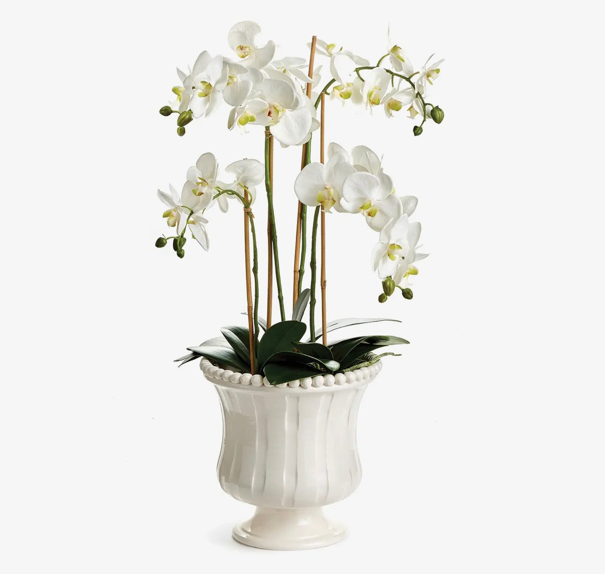 Coletta Petite Flared Vase
