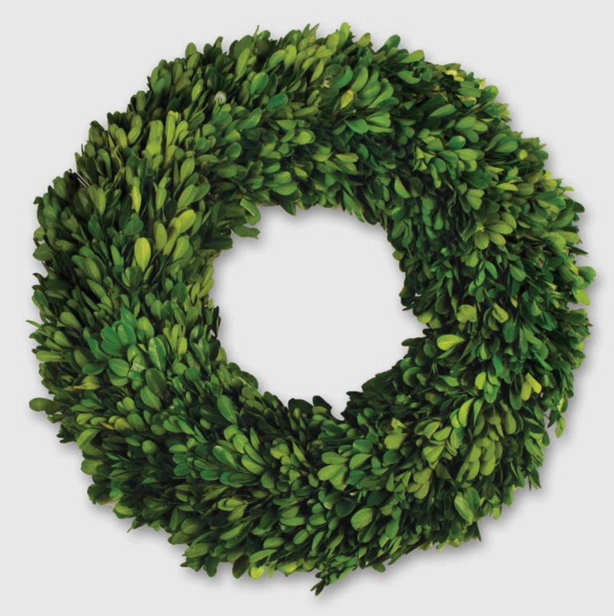 Boxwood Wreath 16”