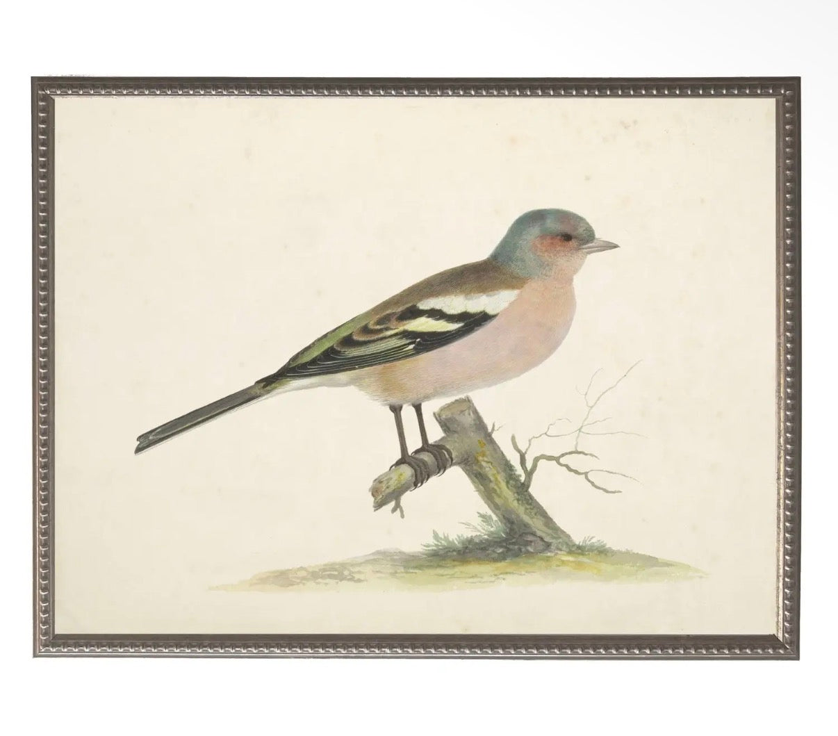 Soft Bird Illustration- 24”x18”