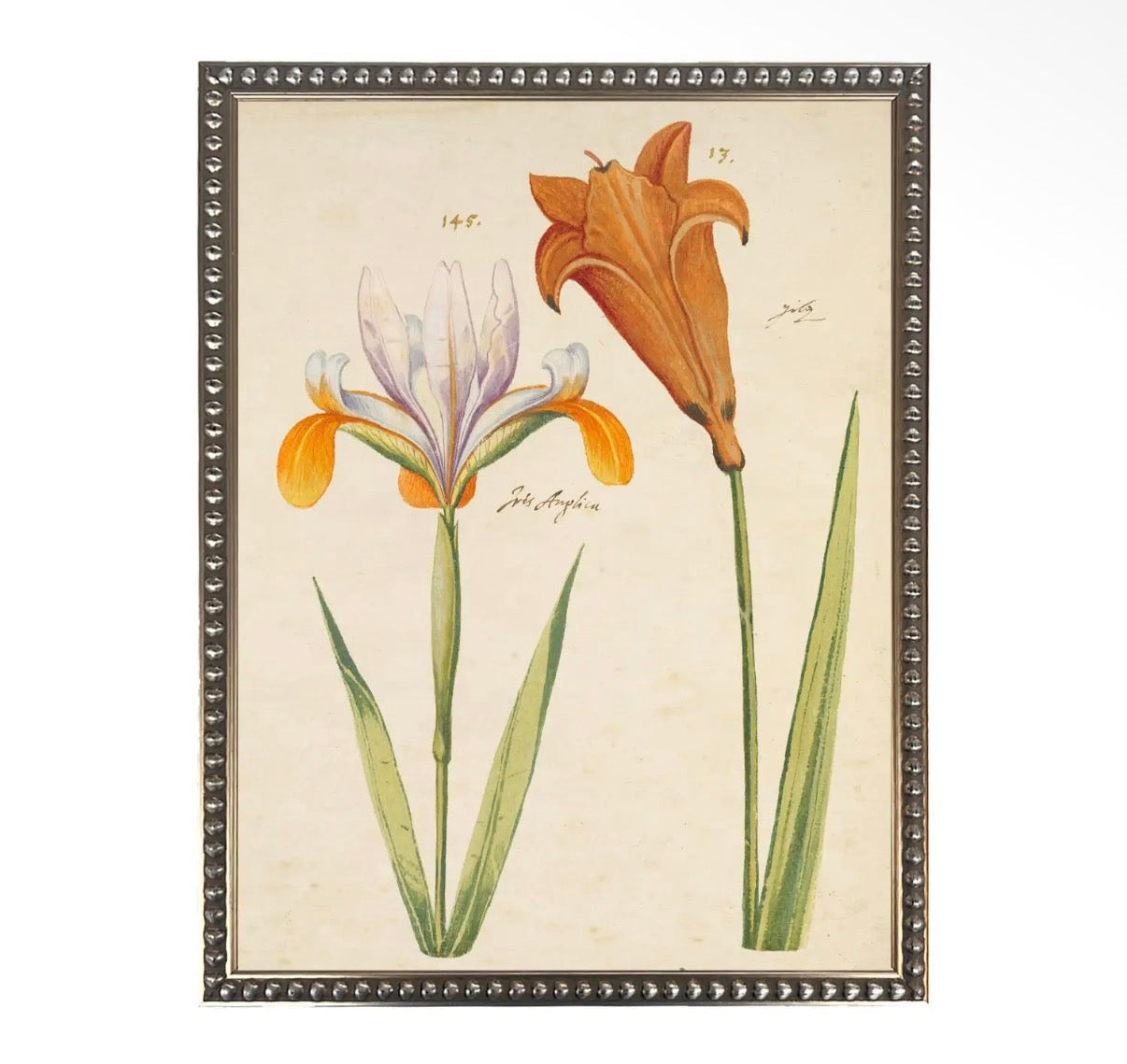Bold Floral Print- 18”x24”