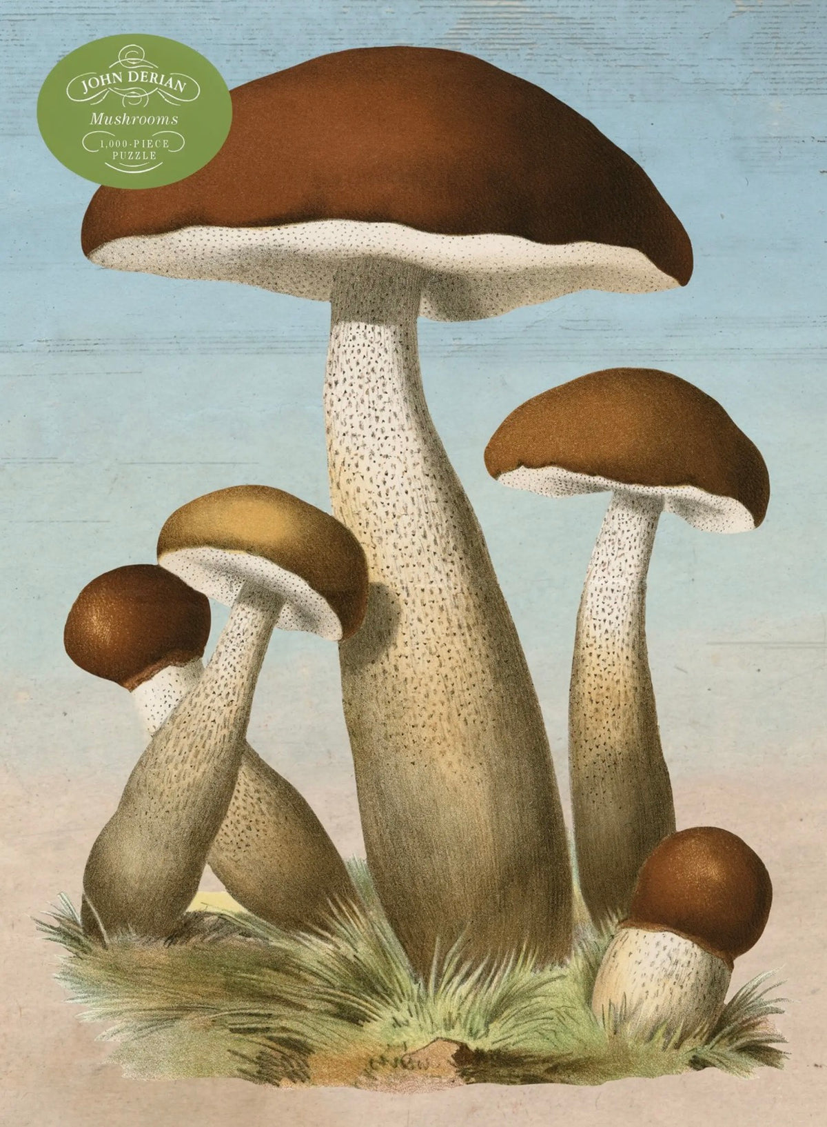 John Derian Mushroom- 1,000 Piece Puzzle