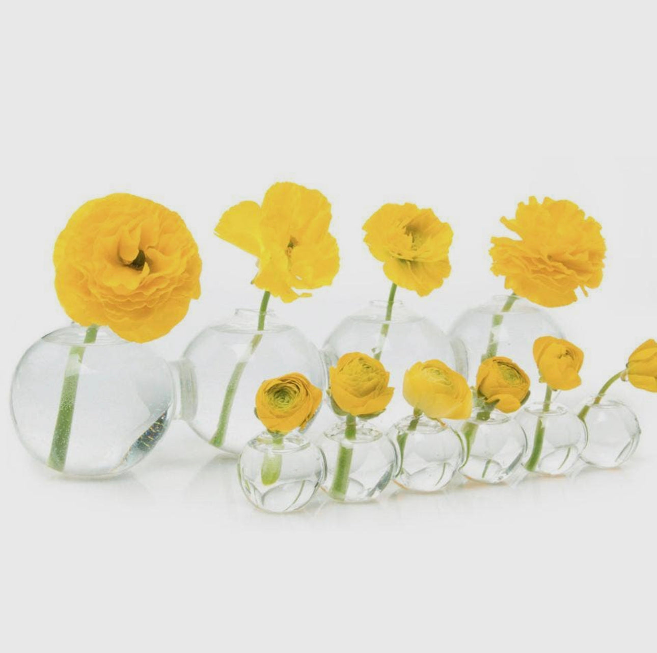 Caterpillar Bud Vase - Large