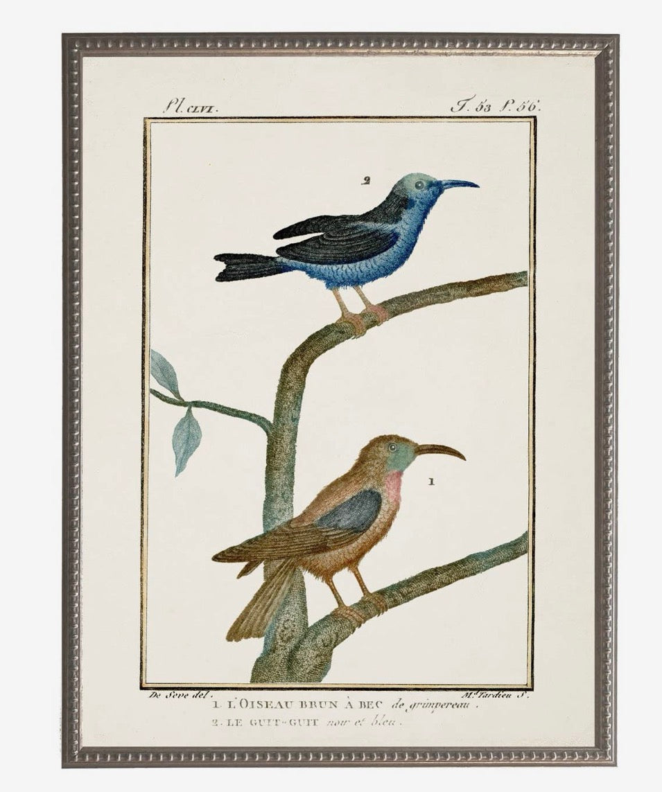Vintage Bird Bookplate