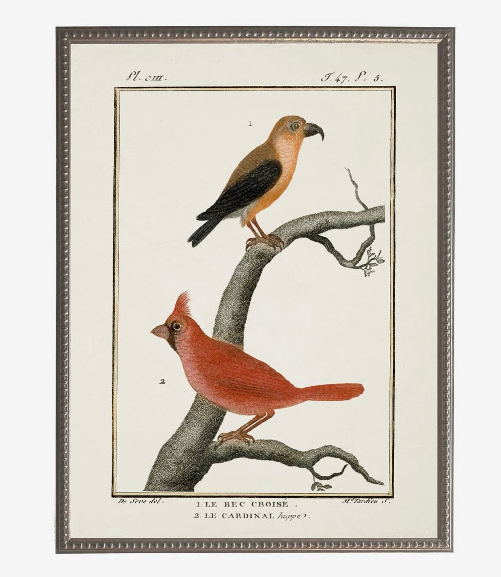 Vintage Bird Bookplate