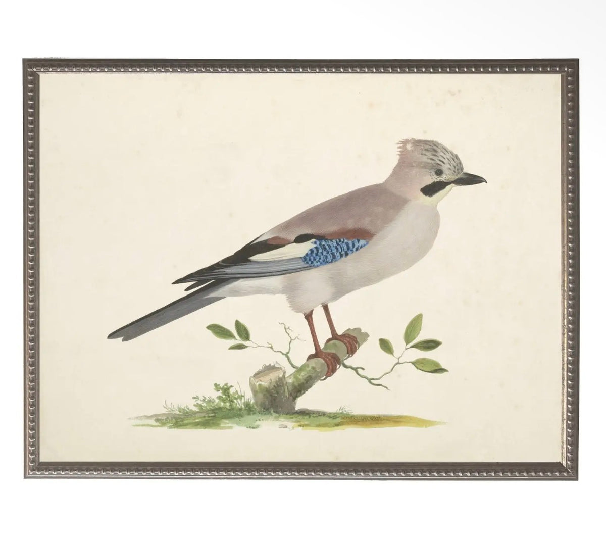 Soft Bird Illustration- 24”x18”