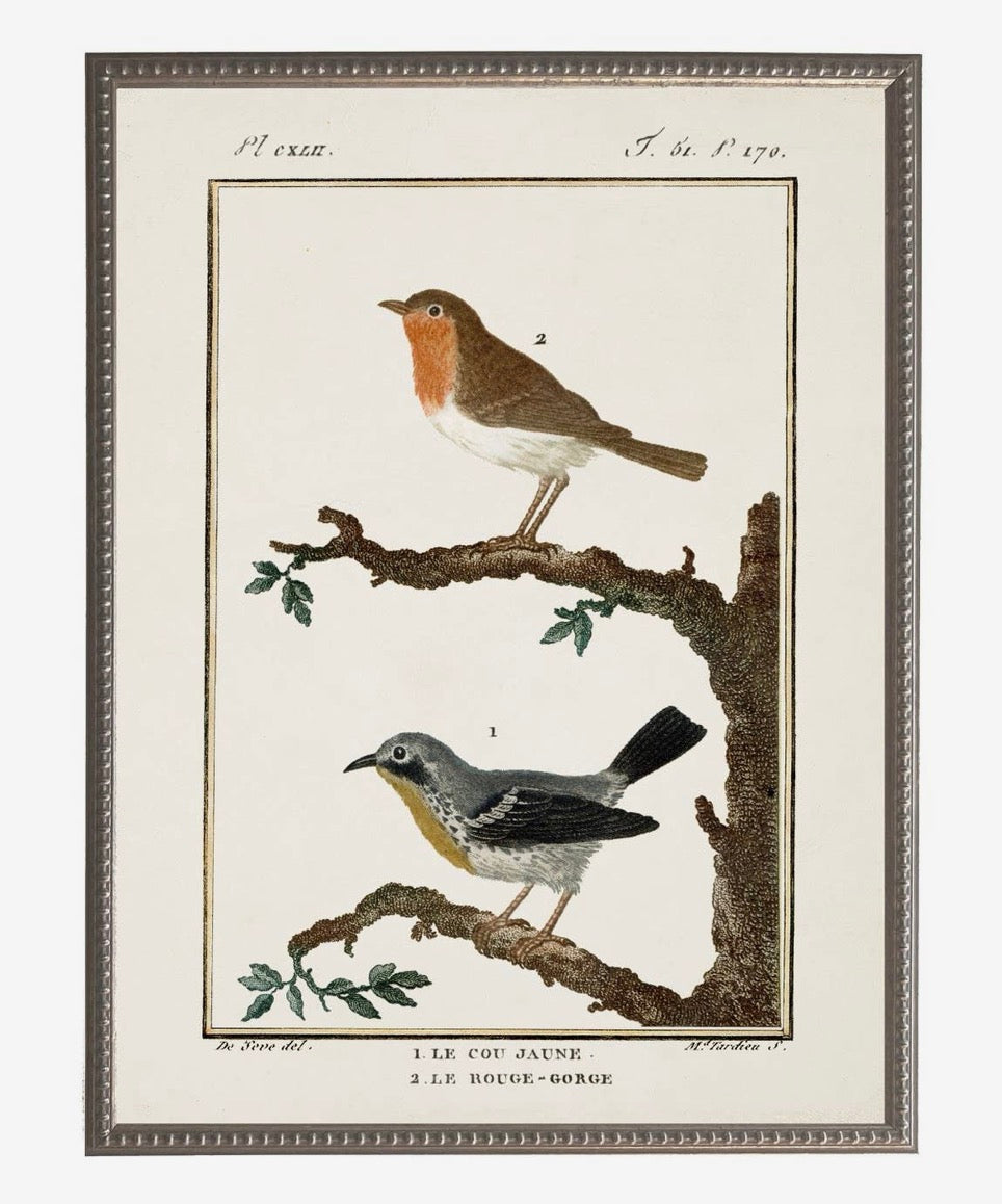 Vintage Bird Bookplate