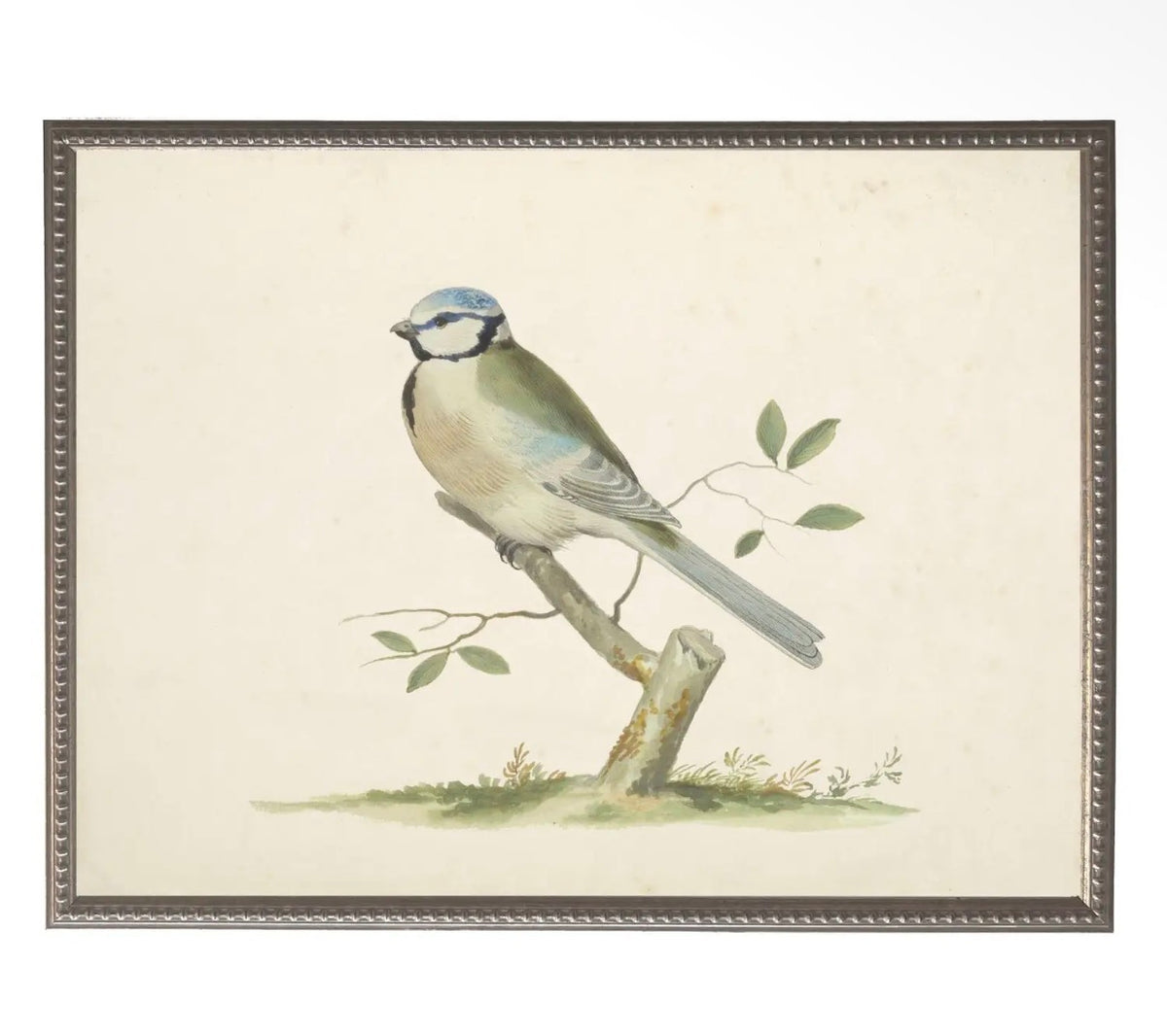Soft Bird Illustration- 24”x18”