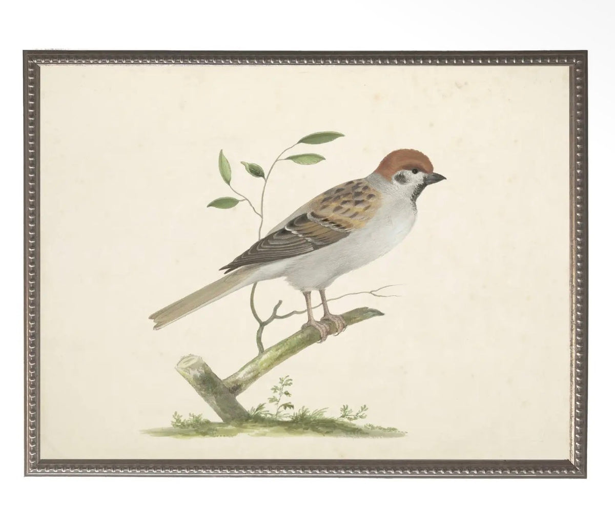 Soft Bird Illustration- 24”x18”